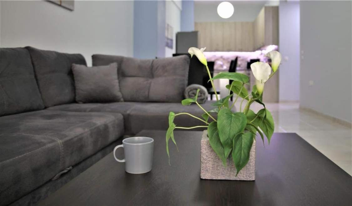 Lovely Apartment In The Center Of Athens. Luaran gambar